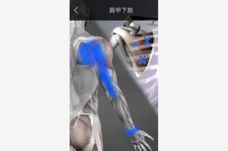 横向きに寝ると肩が痛い 名古屋の接骨院では皆様の健康に役立つ情報をブログから発信しております